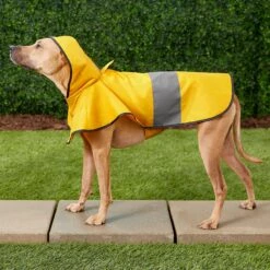 Frisco Lightweight Rainy Days Dog Raincoat -Frisco 119208 PT7. AC SS1800 V1540475377