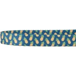 Frisco Pineapple Polyester Breakaway Cat Collar With Bell 10 Frisco Pineapple Polyester Breakaway Cat Collar With Bell -Frisco 153158 PT3. AC SS1800 V1568380088