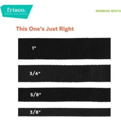 Frisco Pineapple Polyester Breakaway Cat Collar With Bell 11 Frisco Pineapple Polyester Breakaway Cat Collar With Bell -Frisco 153158 PT6. AC SS1800 V1629992814