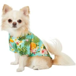 Frisco Pineapple Hawaiian Camp Dog & Cat Shirt 14 Frisco Pineapple Hawaiian Camp Dog & Cat Shirt -Frisco 153596 PT3. AC SS1800 V1673361409