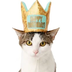 Frisco Happy Birthday Dog & Cat Crown -Frisco 153665 PT2. AC SS1800 V1551230979