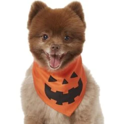Frisco Jack O' Lantern Pumpkin Dog & Cat Bandana -Frisco 158934 PT2. AC SS1800 V1690828662