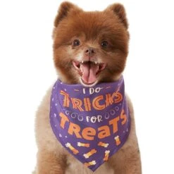 Frisco I Do Tricks For Treats Dog & Cat Bandana