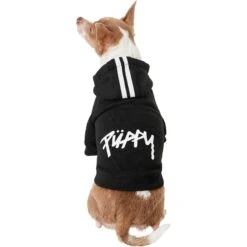 Frisco Püppy Dog Athletic Hoodie 11 Frisco Püppy Dog Athletic Hoodie -Frisco 160342 PT2. AC SS1800 V1637689590