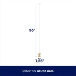 Frisco Cardboard & Wire Teaser Cat Toy -Frisco 161194 PT1. AC SS1800 V1686579153