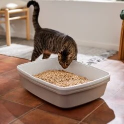 Frisco Pine Pellet Unscented Non-Clumping Wood Cat Litter -Frisco 161458 PT4. AC SS1800 V1659023182
