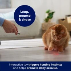 Frisco 2-in-1 Laser & LED Light Laser Cat Toy -Frisco 166309 PT3. AC SS1800 V1686579688