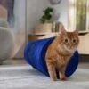Frisco Foldable Play Tunnel With Mesh Cat Toy -Frisco 166385 MAIN. AC SS1800 V1686579145