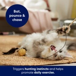 Frisco Sparkle Ball Teaser Wand Cat Toy With Catnip -Frisco 183254 PT3. AC SS1800 V1695241915