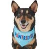 Frisco Pawtriot Dog & Cat Bandana -Frisco 191277 Main. AC SS1800 V1584623866