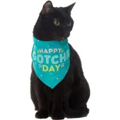 Frisco Happy Gotcha Day Dog & Cat Bandana 10 Frisco Happy Gotcha Day Dog & Cat Bandana -Frisco 200538 PT2. AC SS1800 V1633057623