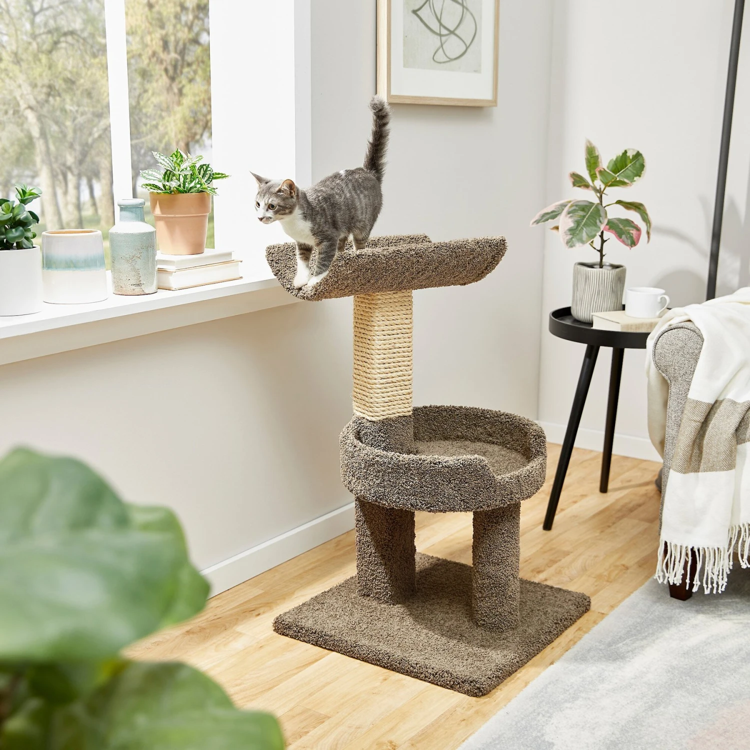 Frisco 30-in Real Carpet Wooden Cat Tree 3 Frisco 30-in Real Carpet Wooden Cat Tree