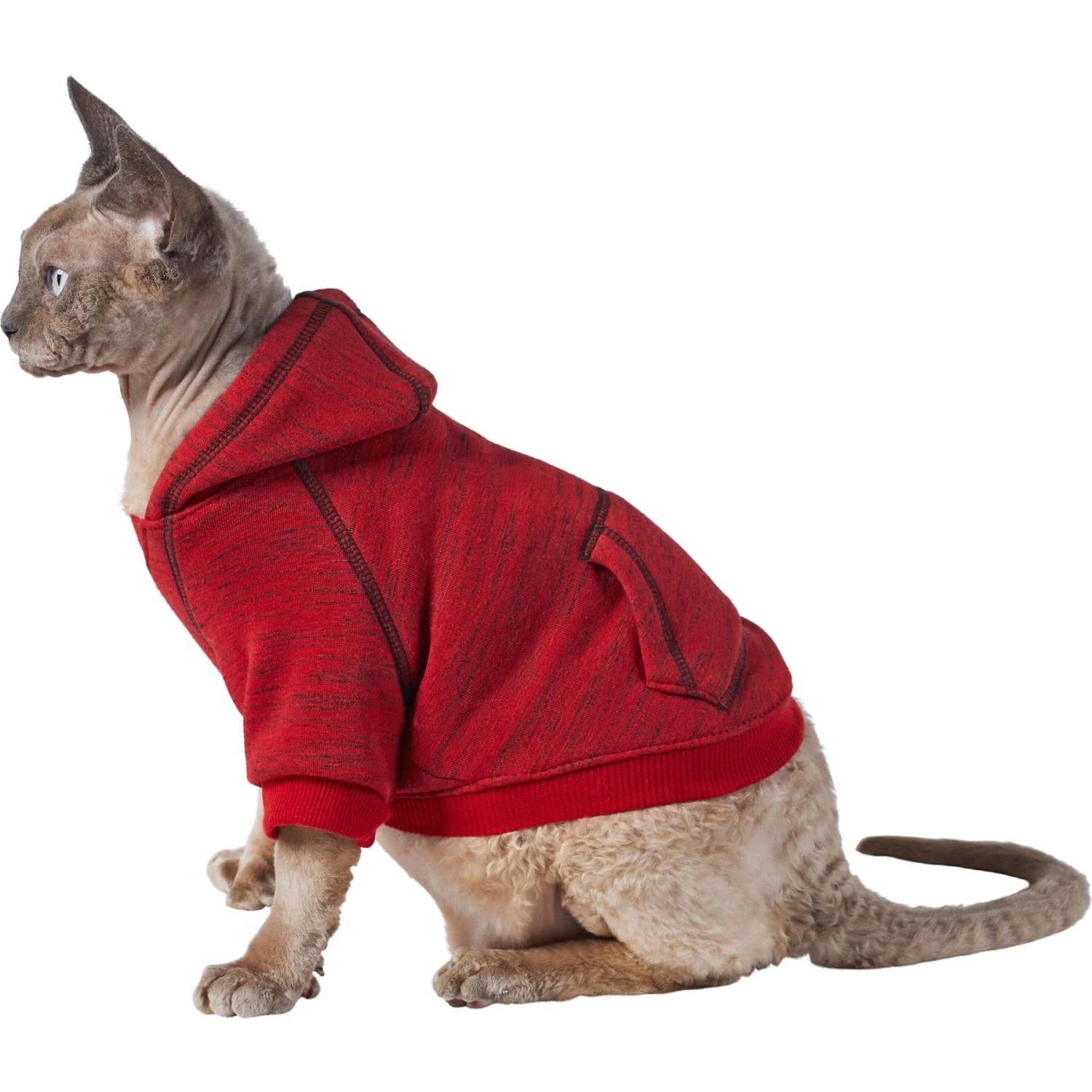 Frisco Sporty Dog & Cat Hoodie 3 Frisco Sporty Dog & Cat Hoodie