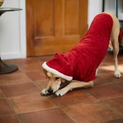 Frisco Textured Knit Dog & Cat Hoodie 16 Frisco Textured Knit Dog & Cat Hoodie -Frisco 224233 PT6. AC SS1800 V1637729542