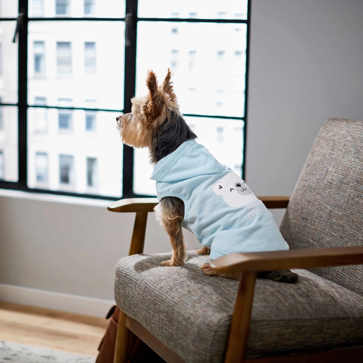 Frisco Mommy's Little Bear Dog & Cat Hoodie 9 Frisco Mommy's Little Bear Dog & Cat Hoodie - Image 7