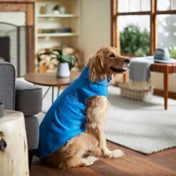 Frisco Ultra Lightweight Basic Dog & Cat Fleece Vest -Frisco 224316 PT7. AC SS1800 V1599924439
