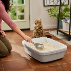 Frisco Tofu Clumping Cat Litter -Frisco 232117 PT4. AC SS1800 V1659546420