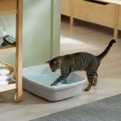 Frisco Micro Crystal Unscented Non-Clumping Crystal Cat Litter -Frisco 232121 PT4. AC SS1800 V1659546416