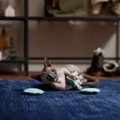 Frisco Snowflake Plush Cat Toy With Catnip, 3 Count -Frisco 233285 PT3. AC SS1800 V1661874178