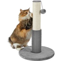 Frisco 21-in Sisal Cat Scratching Post With Toy & Groomer -Frisco 236533 PT2. AC SS1800 V1615987395