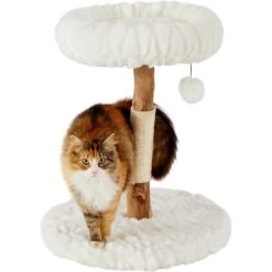 Frisco Natural Wood Modern Cat Tree With Toy, Ivory, Small 10 Frisco Natural Wood Modern Cat Tree With Toy, Ivory, Small -Frisco 236559 PT2. AC SS1800 V1615987338