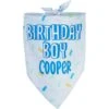 Frisco Birthday Boy Personalized Dog & Cat Bandana