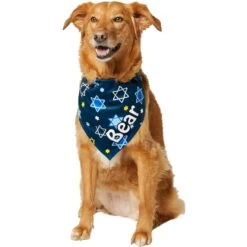 Frisco Hanukkah Personalized Dog & Cat Bandana -Frisco 242799 PT6. AC SS1800 V1618511253