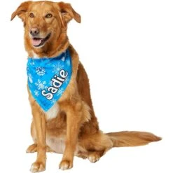 Frisco Blue Snowflakes Personalized Dog & Cat Bandana -Frisco 242803 PT6. AC SS1800 V1618511278