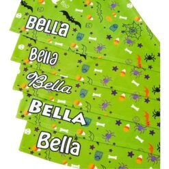 Frisco Halloween Boo! Personalized Dog & Cat Bandana -Frisco 244583 PT4. AC SS1800 V1618508254