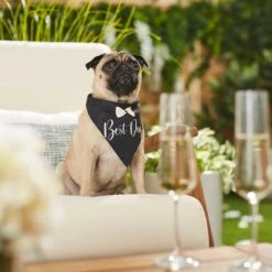 Frisco Wedding Reversible Dog & Cat Bandana -Frisco 248712 PT5. AC SS1800 V1632432987