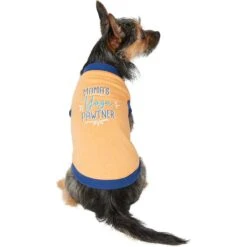 Frisco Mama's Yoga Pawtner Dog & Cat T-Shirt -Frisco 248966 PT2. AC SS1800 V1624599765