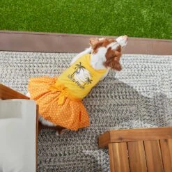 Frisco Fun In The Sun Dog & Cat Dress 12 Frisco Fun In The Sun Dog & Cat Dress -Frisco 249058 PT4. AC SS1800 V1637668124