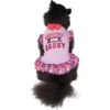 Frisco Cute & Sassy Dog & Cat Dress -Frisco 249073 MAIN. AC SS1800 V1644452847
