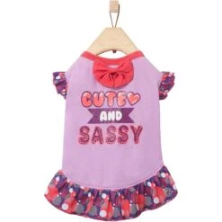 Frisco Cute & Sassy Dog & Cat Dress -Frisco 249073 PT3. AC SS1800 V1644960094
