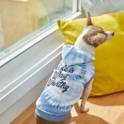 Frisco Life Is Wag Worthy Tiedye Print Dog & Cat Hoodie -Frisco 249094 PT7. AC SS1800 V1614362017