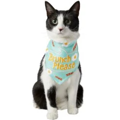Frisco Brunch Please Dog & Cat Bandana -Frisco 249207 PT2. AC SS1800 V1696597732