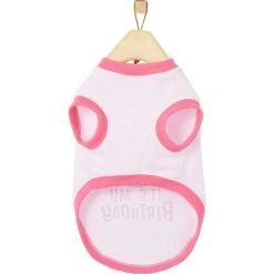 Frisco It's My Birthday Dog & Cat T-Shirt, Pink 10 Frisco It's My Birthday Dog & Cat T-Shirt, Pink -Frisco 249255 PT3. AC SS1800 V1624614153