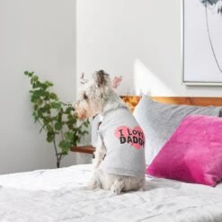 Frisco I Love Daddy Dog & Cat T-Shirt, Gray 15 Frisco I Love Daddy Dog & Cat T-Shirt, Gray -Frisco 249263 PT7. AC SS1800 V1614284197