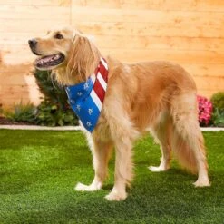 Frisco Stars & Stripes Dog & Cat Bandana -Frisco 249329 PT5. AC SS1800 V1632433280