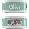 Frisco Playful Kitty Ceramic Personalized Cat Bowl, 1-cup, 8oz -Frisco 250841 MAIN. AC SS1800 V1602625886