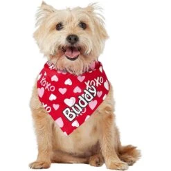 Frisco XOXO Hearts Personalized Dog & Cat Bandana 17 Frisco XOXO Hearts Personalized Dog & Cat Bandana -Frisco 254203 PT6. AC SS1800 V1632427913