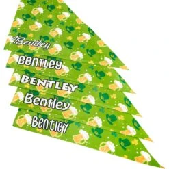 Frisco Green Ale Personalized Dog & Cat Bandana -Frisco 254207 PT4. AC SS1800 V1618511566