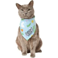 Frisco Easter Bunny Personalized Dog & Cat Bandana 18 Frisco Easter Bunny Personalized Dog & Cat Bandana -Frisco 254211 PT7. AC SS1800 V1618510982
