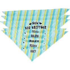 Frisco Big Brother Personalized Dog & Cat Bandana -Frisco 254231 PT4. AC SS1800 V1633065997