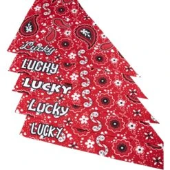 Frisco Paisley Printed Personalized Dog & Cat Bandana -Frisco 254247 PT4. AC SS1800 V1618511570