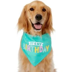 Frisco Happy Birthday Dog & Cat Crown & Frisco Dog & Cat Birthday Bandana 10 Frisco Happy Birthday Dog & Cat Crown & Frisco Dog & Cat Birthday Bandana -Frisco 255523 PT3. AC SS1800 V1603716114