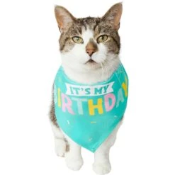 Frisco Happy Birthday Dog & Cat Crown & Frisco Dog & Cat Birthday Bandana 11 Frisco Happy Birthday Dog & Cat Crown & Frisco Dog & Cat Birthday Bandana -Frisco 255523 PT4. AC SS1800 V1603716120