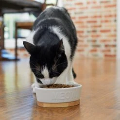 Frisco Oval Meow Non-skid Ceramic Cat Bowl With Wood Base 10 Frisco Oval Meow Non-skid Ceramic Cat Bowl With Wood Base -Frisco 256080 PT2. AC SS1800 V1615310782