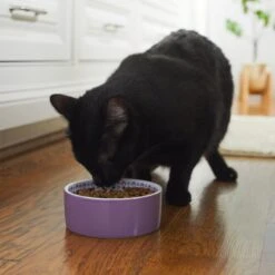 Frisco Kaleidoscope Pattern Non-skid Ceramic Dog & Cat Bowl -Frisco 256090 PT2. AC SS1800 V1615311092