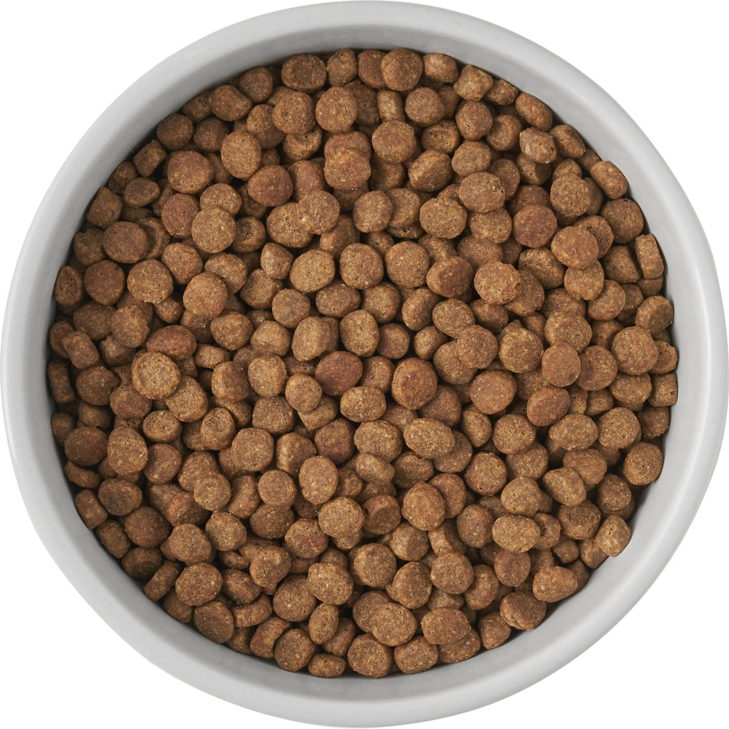 Frisco Cat Print Non-Skid Elevated Ceramic Cat Bowl, Tall 7 Frisco Cat Print Non-Skid Elevated Ceramic Cat Bowl, Tall - Image 5